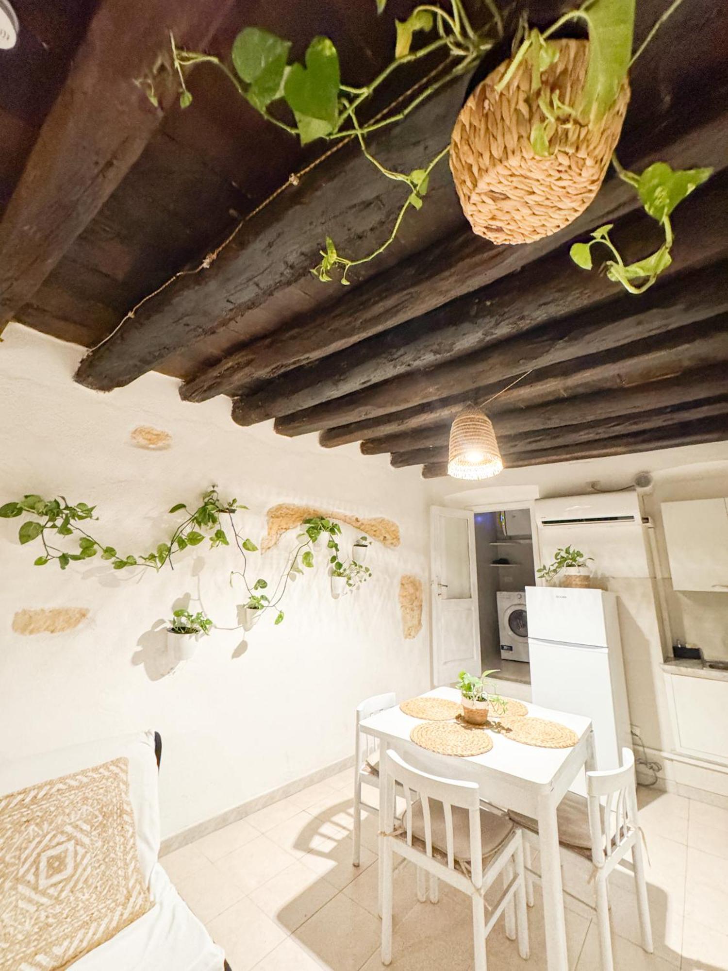 Apartment Z Stretta *